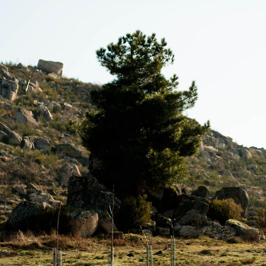 Quinta Do Chaozinho Villa Alijó Eksteriør bilde