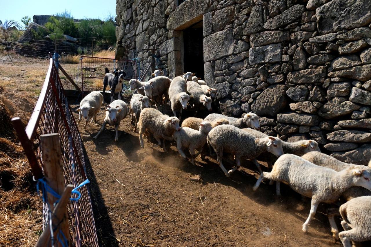 Quinta Do Chaozinho Villa Alijó Eksteriør bilde