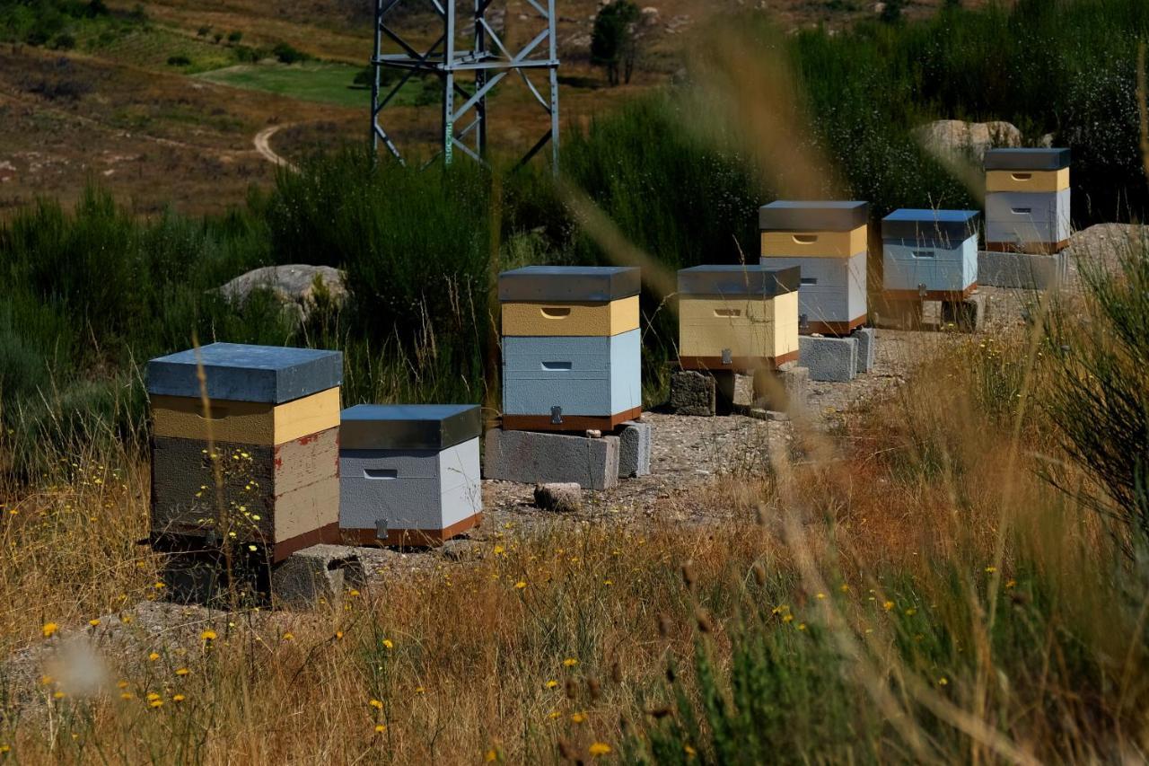 Quinta Do Chaozinho Villa Alijó Eksteriør bilde