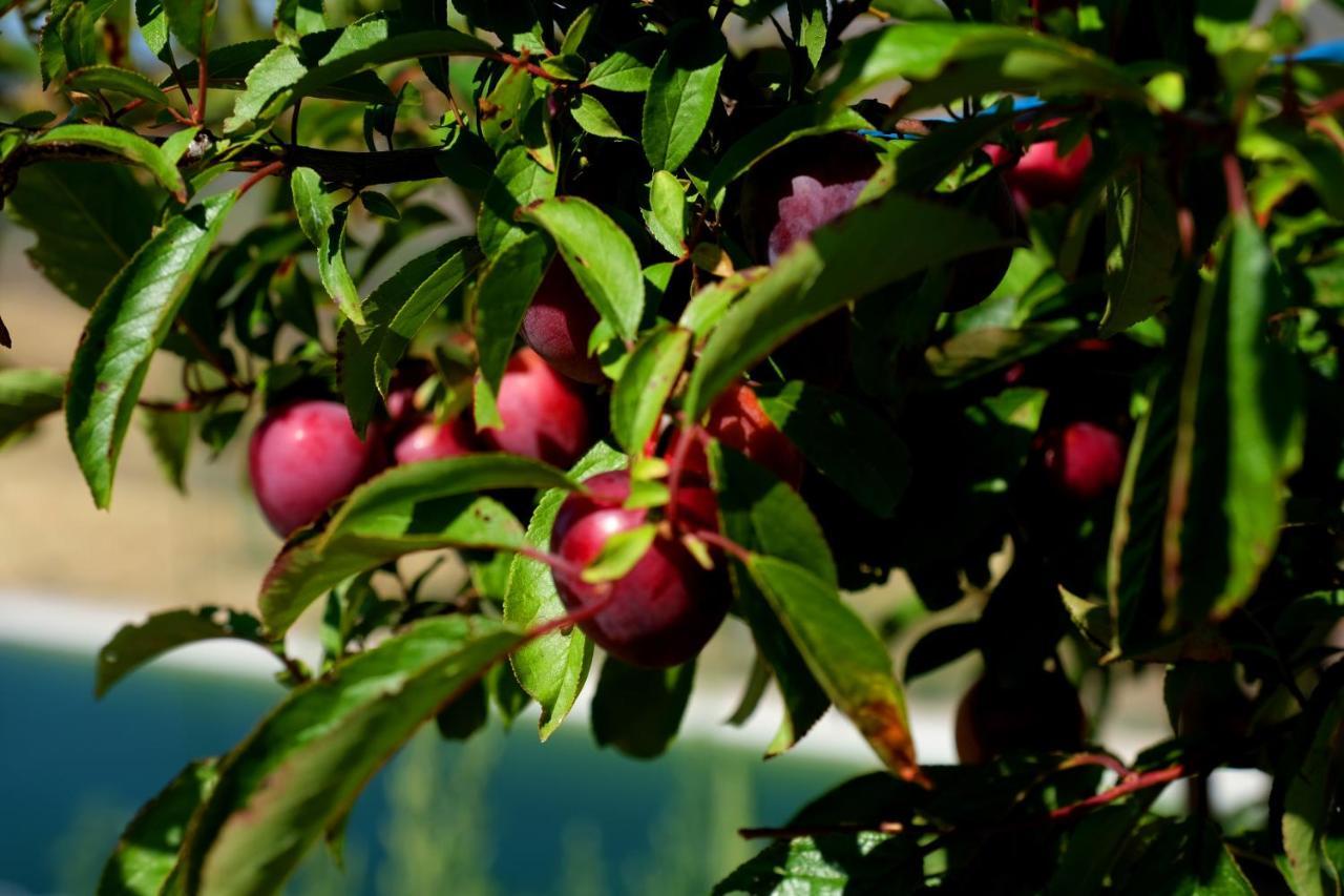 Quinta Do Chaozinho Villa Alijó Eksteriør bilde