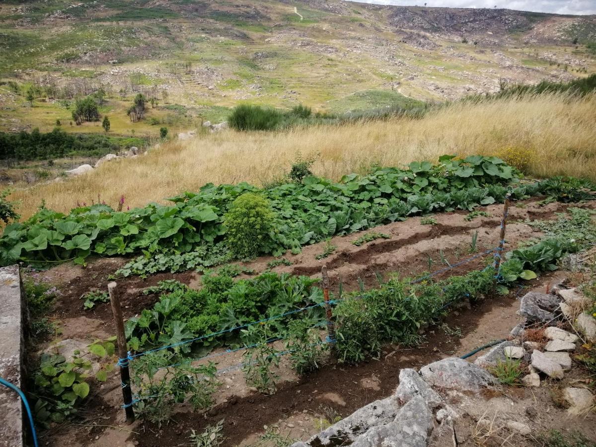 Quinta Do Chaozinho Villa Alijó Eksteriør bilde